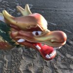 dragon boat festival dragon boat festival